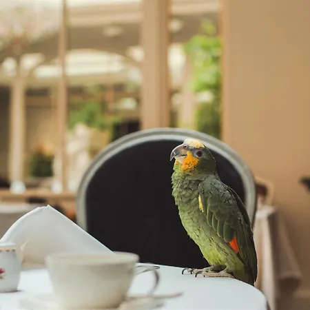 Grand Palace - Small Luxury Of The World Рига