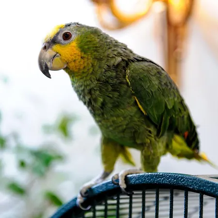 Grand Palace - Small Luxury Of The World Hotel 5*